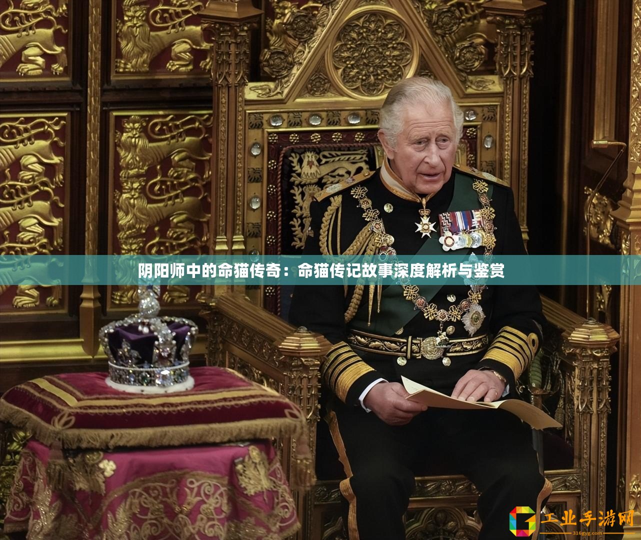 陰陽師中的命貓傳奇：命貓傳記故事深度解析與鑒賞