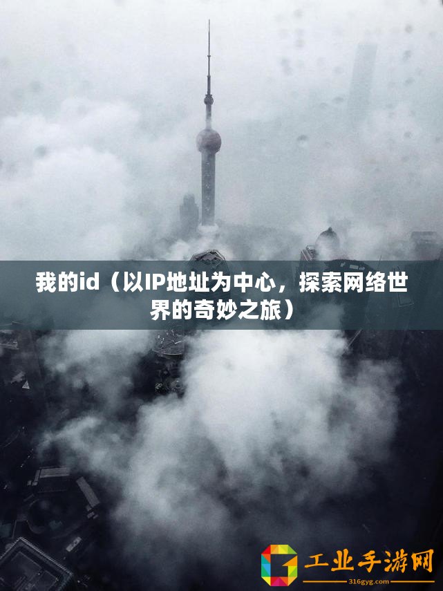 我的id（以IP地址為中心，探索網(wǎng)絡(luò)世界的奇妙之旅）