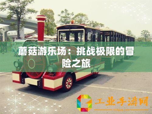 蘑菇游樂(lè)場(chǎng)：挑戰(zhàn)極限的冒險(xiǎn)之旅