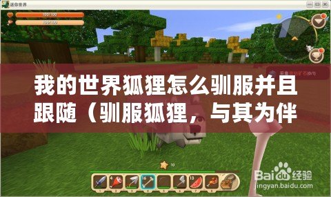 我的世界狐貍怎么馴服并且跟隨（馴服狐貍，與其為伴，共創新世界）