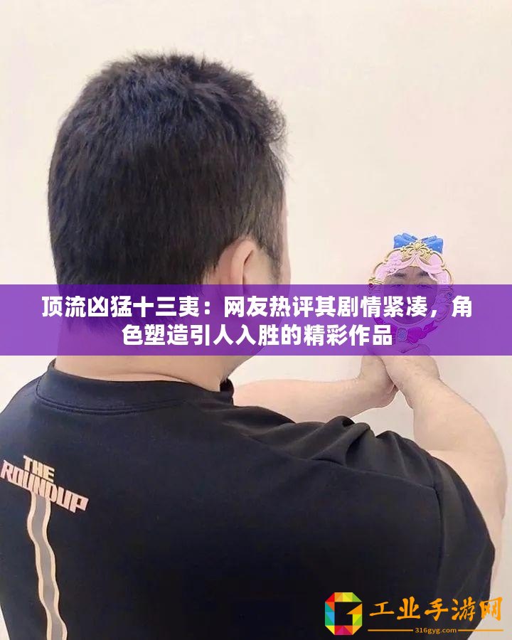 頂流兇猛十三夷：網友熱評其劇情緊湊，角色塑造引人入勝的精彩作品