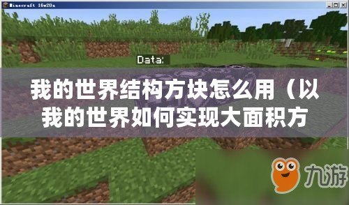 我的世界結(jié)構(gòu)方塊怎么用（以我的世界如何實(shí)現(xiàn)大面積方塊復(fù)制？）