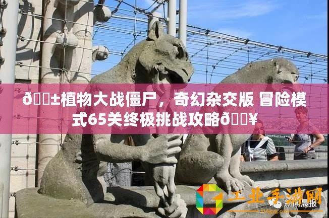 ??植物大戰(zhàn)僵尸，奇幻雜交版 冒險(xiǎn)模式65關(guān)終極挑戰(zhàn)攻略??