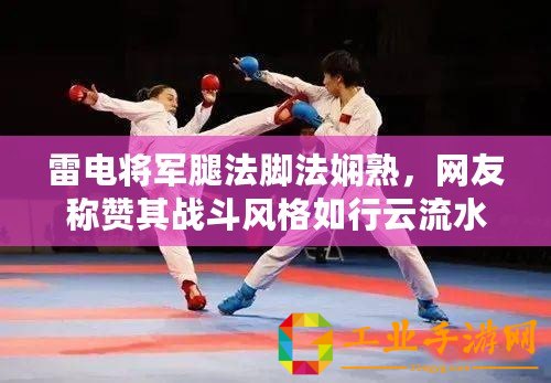 雷電將軍腿法腳法嫻熟，網友稱贊其戰斗風格如行云流水般靈動！