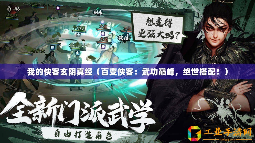 我的俠客玄陰真經（百變俠客：武功巔峰，絕世搭配！）