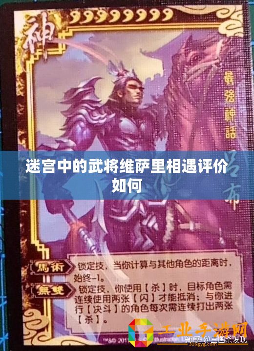 迷宮中的武將維薩里相遇評價如何