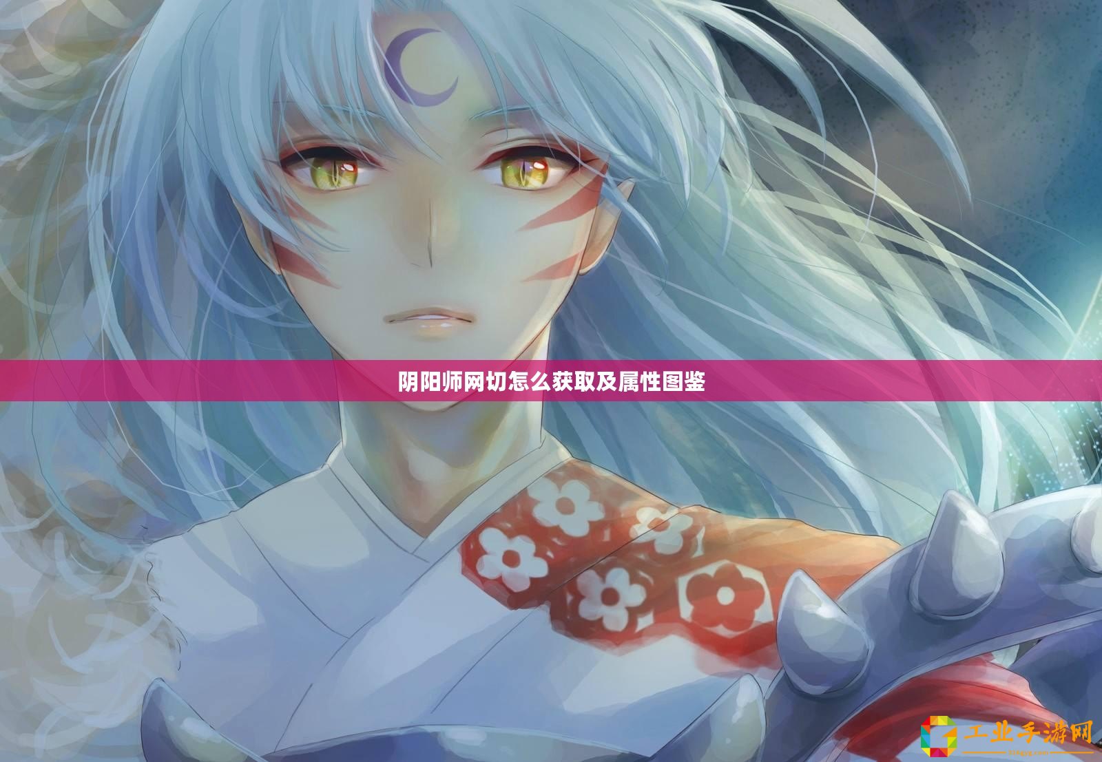 陰陽師網切怎么獲取及屬性圖鑒