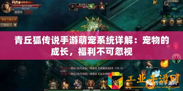 青丘狐傳說手游萌寵系統詳解：寵物的成長，福利不可忽視