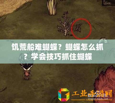 饑荒船難蝴蝶？蝴蝶怎么抓？學(xué)會(huì)技巧抓住蝴蝶