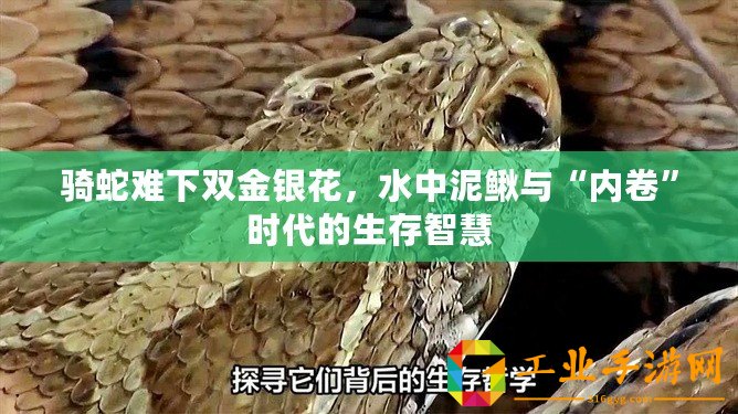 騎蛇難下雙金銀花，水中泥鰍與“內(nèi)卷”時代的生存智慧