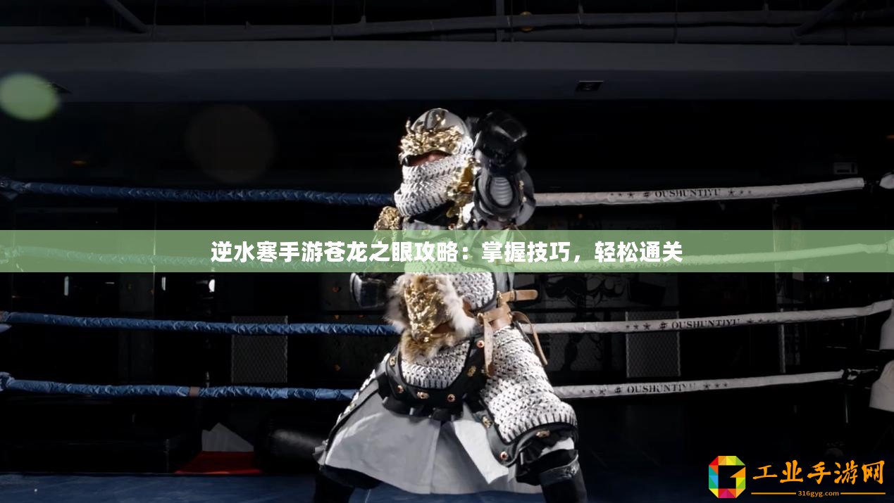 逆水寒手游蒼龍之眼攻略：掌握技巧，輕松通關(guān)