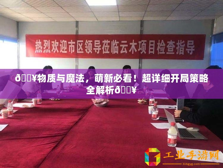 ??物質與魔法，萌新必看！超詳細開局策略全解析??