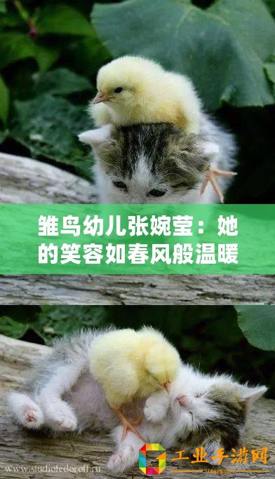雛鳥幼兒張婉瑩：她的笑容如春風般溫暖，讓人倍感親切與快樂