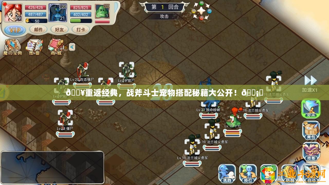 ??重返經典，戰斧斗士寵物搭配秘籍大公開！???