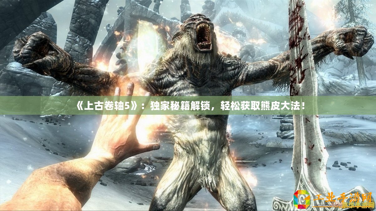 《上古卷軸5》：獨家秘籍解鎖，輕松獲取熊皮大法！