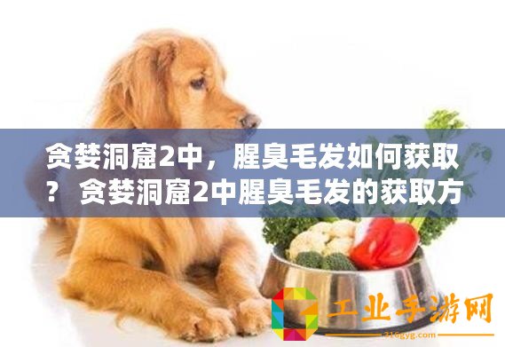 貪婪洞窟2中，腥臭毛發(fā)如何獲取？ 貪婪洞窟2中腥臭毛發(fā)的獲取方式