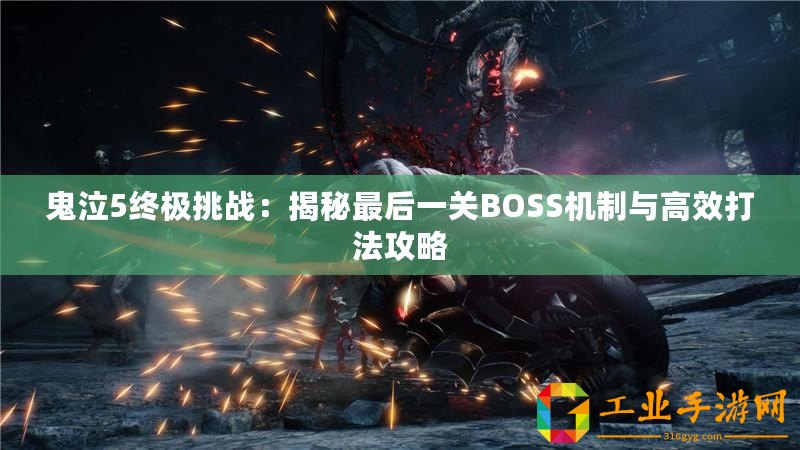 鬼泣5終極挑戰(zhàn)：揭秘最后一關(guān)BOSS機(jī)制與高效打法攻略