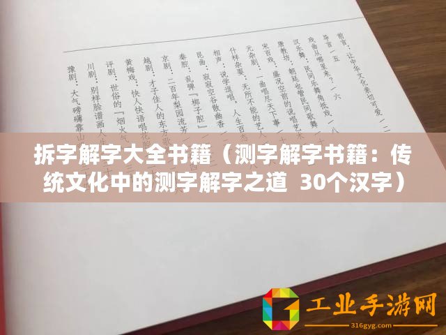 拆字解字大全書(shū)籍（測(cè)字解字書(shū)籍：傳統(tǒng)文化中的測(cè)字解字之道  30個(gè)漢字）