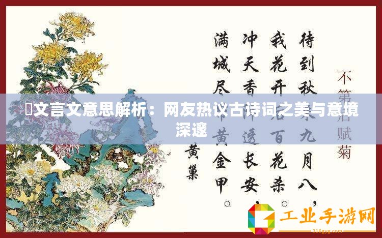 驩文言文意思解析：網(wǎng)友熱議古詩詞之美與意境深邃