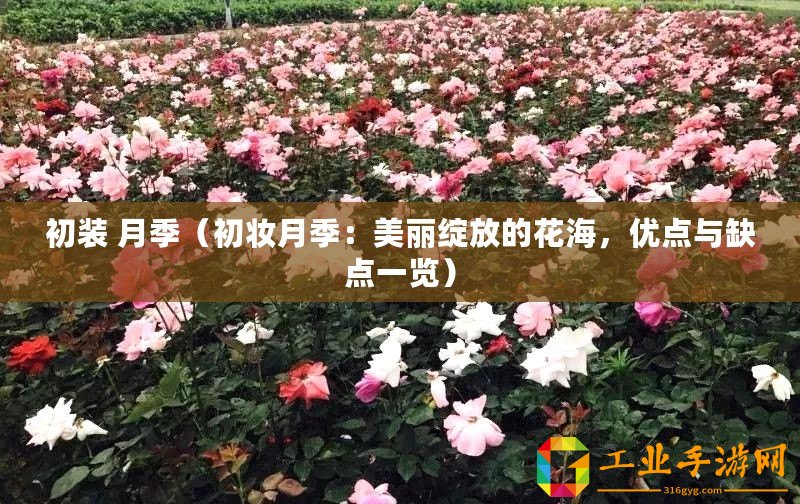 初裝 月季（初妝月季：美麗綻放的花海，優點與缺點一覽）