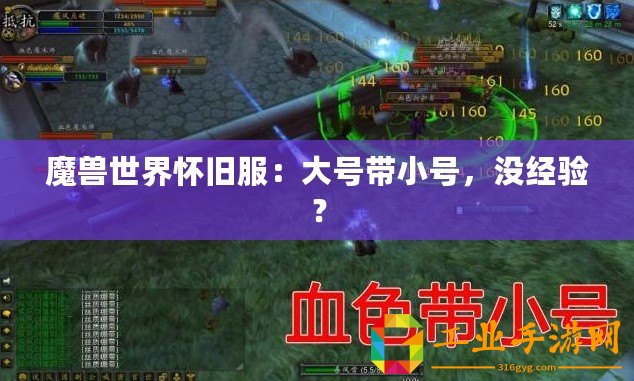 魔獸世界懷舊服：大號(hào)帶小號(hào)，沒經(jīng)驗(yàn)？
