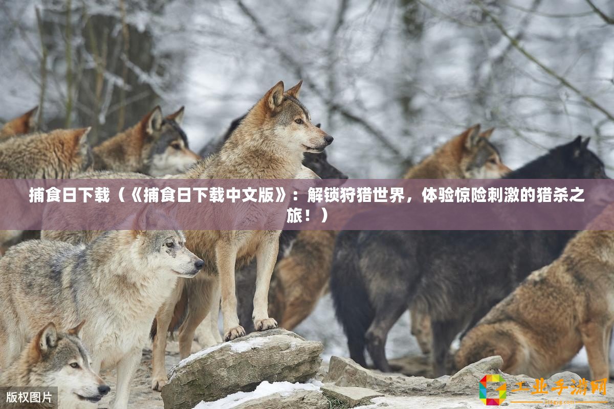捕食日下載（《捕食日下載中文版》：解鎖狩獵世界，體驗驚險刺激的獵殺之旅?。?/>			</a>
		</figure>
		<div   id=