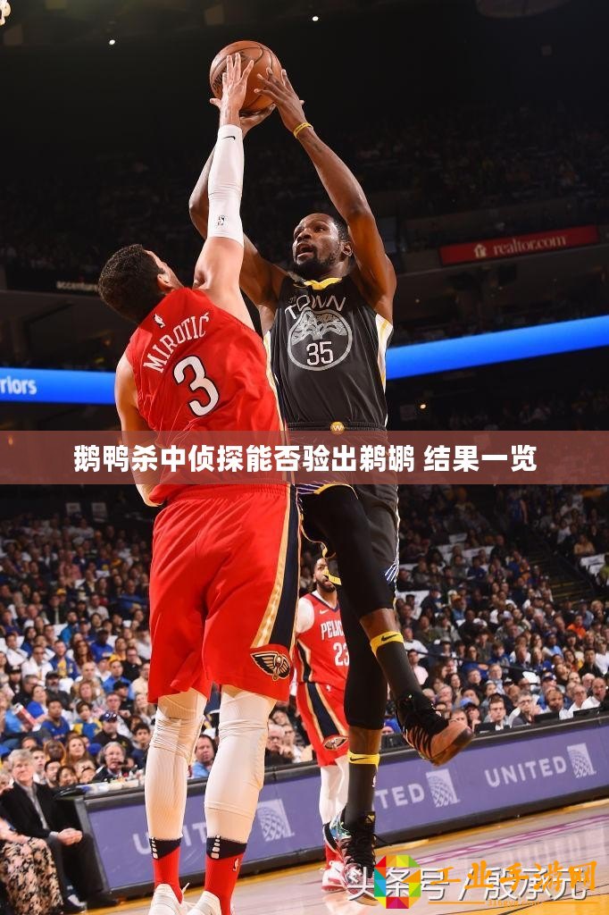 鵝鴨殺中偵探能否驗出鵜鶘 結(jié)果一覽