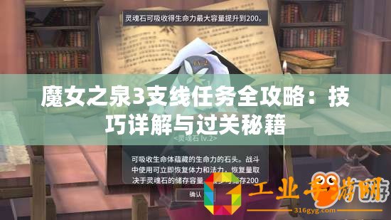 魔女之泉3支線任務全攻略：技巧詳解與過關秘籍