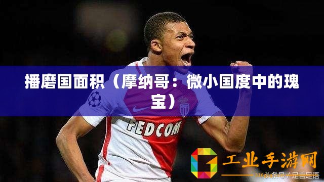 播磨國(guó)面積（摩納哥：微小國(guó)度中的瑰寶）