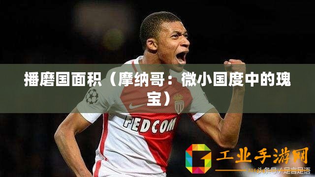 播磨國(guó)面積（摩納哥：微小國(guó)度中的瑰寶）
