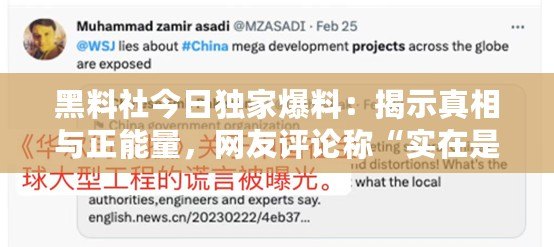 黑料社今日獨(dú)家爆料：揭示真相與正能量，網(wǎng)友評(píng)論稱“實(shí)在是太震撼了！”
