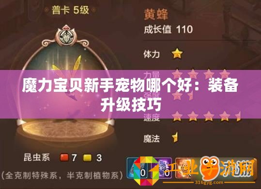 魔力寶貝新手寵物哪個(gè)好：裝備升級技巧