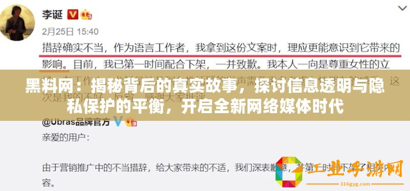 黑料網：揭秘背后的真實故事，探討信息透明與隱私保護的平衡，開啟全新網絡媒體時代
