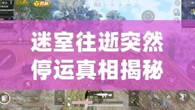 迷室往逝突然停運真相揭秘，國服停運通知解讀