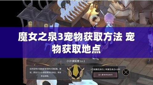 魔女之泉3寵物獲取方法 寵物獲取地點
