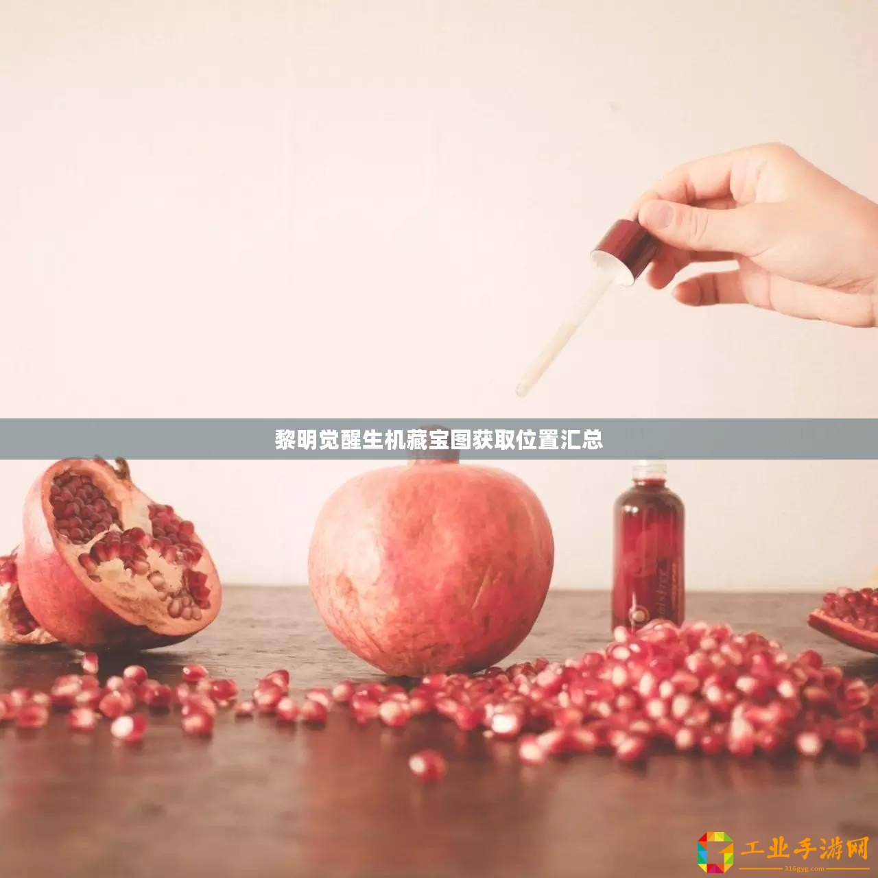 黎明覺醒生機(jī)藏寶圖獲取位置匯總