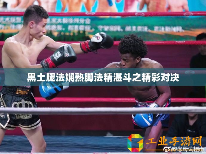 黑土腿法嫻熟腳法精湛斗之精彩對(duì)決