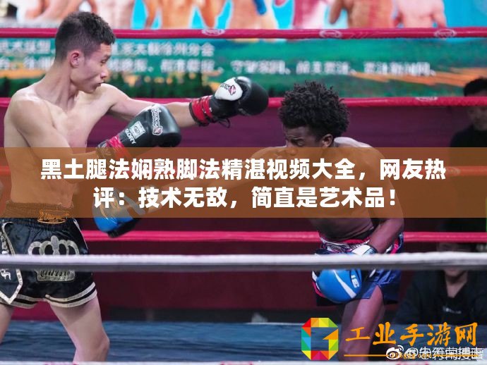 黑土腿法嫻熟腳法精湛視頻大全，網(wǎng)友熱評(píng)：技術(shù)無(wú)敵，簡(jiǎn)直是藝術(shù)品！