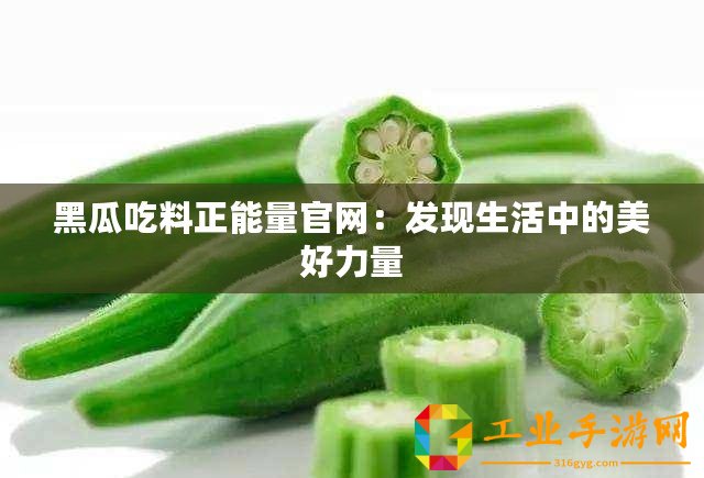 黑瓜吃料正能量官網(wǎng)：發(fā)現(xiàn)生活中的美好力量