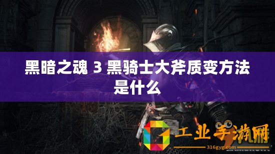 黑暗之魂 3 黑騎士大斧質變方法是什么