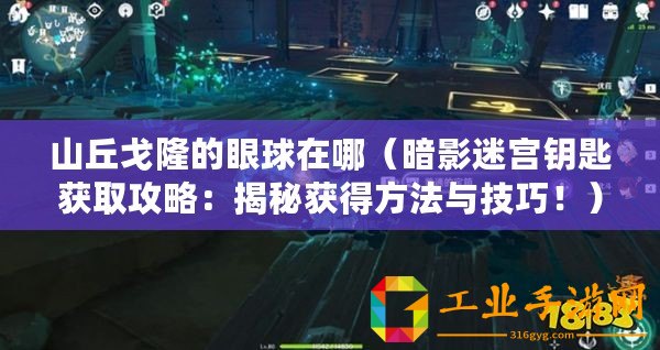 山丘戈隆的眼球在哪（暗影迷宮鑰匙獲取攻略：揭秘獲得方法與技巧?。?/>			</a>
		</figure>
		<div   id=