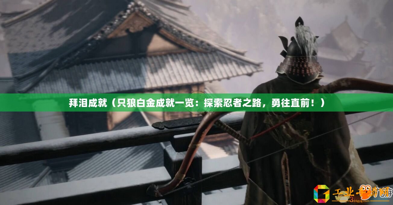 拜淚成就（只狼白金成就一覽：探索忍者之路，勇往直前！）