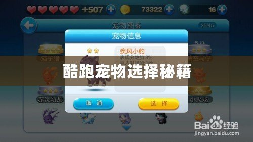 酷跑寵物選擇秘籍