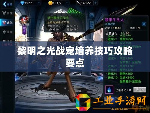 黎明之光戰(zhàn)寵培養(yǎng)技巧攻略要點