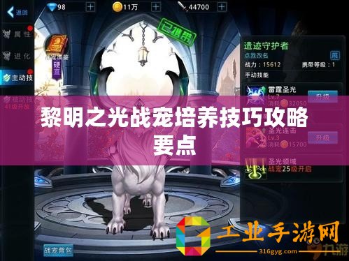 黎明之光戰(zhàn)寵培養(yǎng)技巧攻略要點