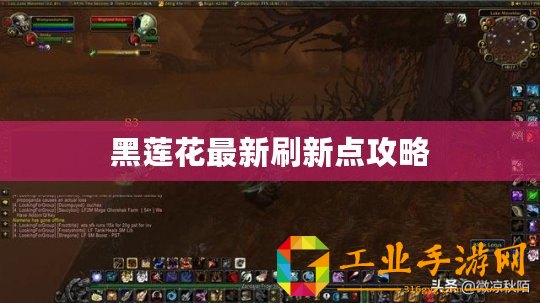 黑蓮花最新刷新點(diǎn)攻略