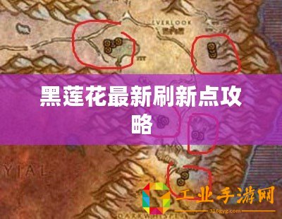 黑蓮花最新刷新點(diǎn)攻略