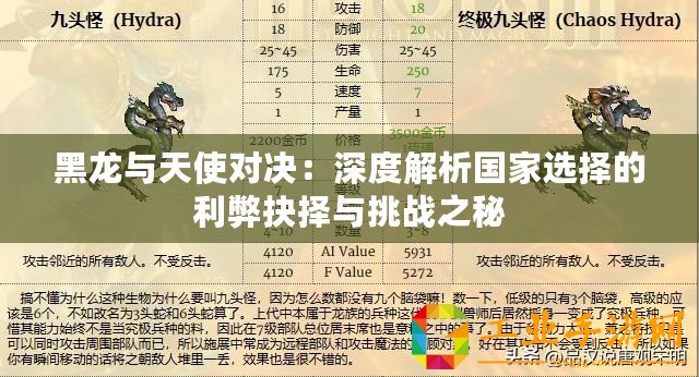 黑龍與天使對決：深度解析國家選擇的利弊抉擇與挑戰(zhàn)之秘