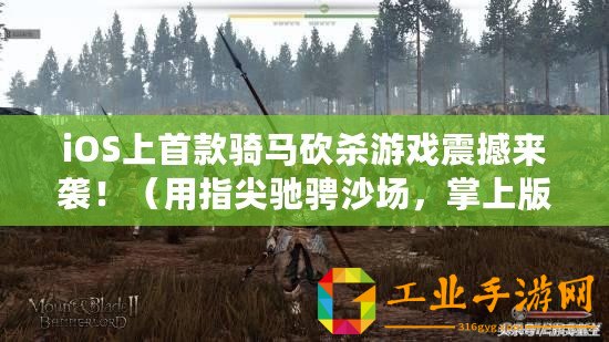 iOS上首款騎馬砍殺游戲震撼來襲?。ㄓ弥讣怦Y騁沙場，掌上版騎馬與砍殺帶來無盡挑戰(zhàn)！）