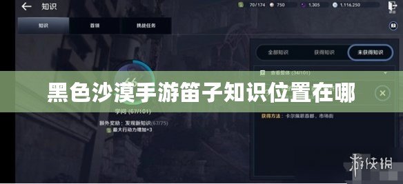 黑色沙漠手游笛子知識位置在哪